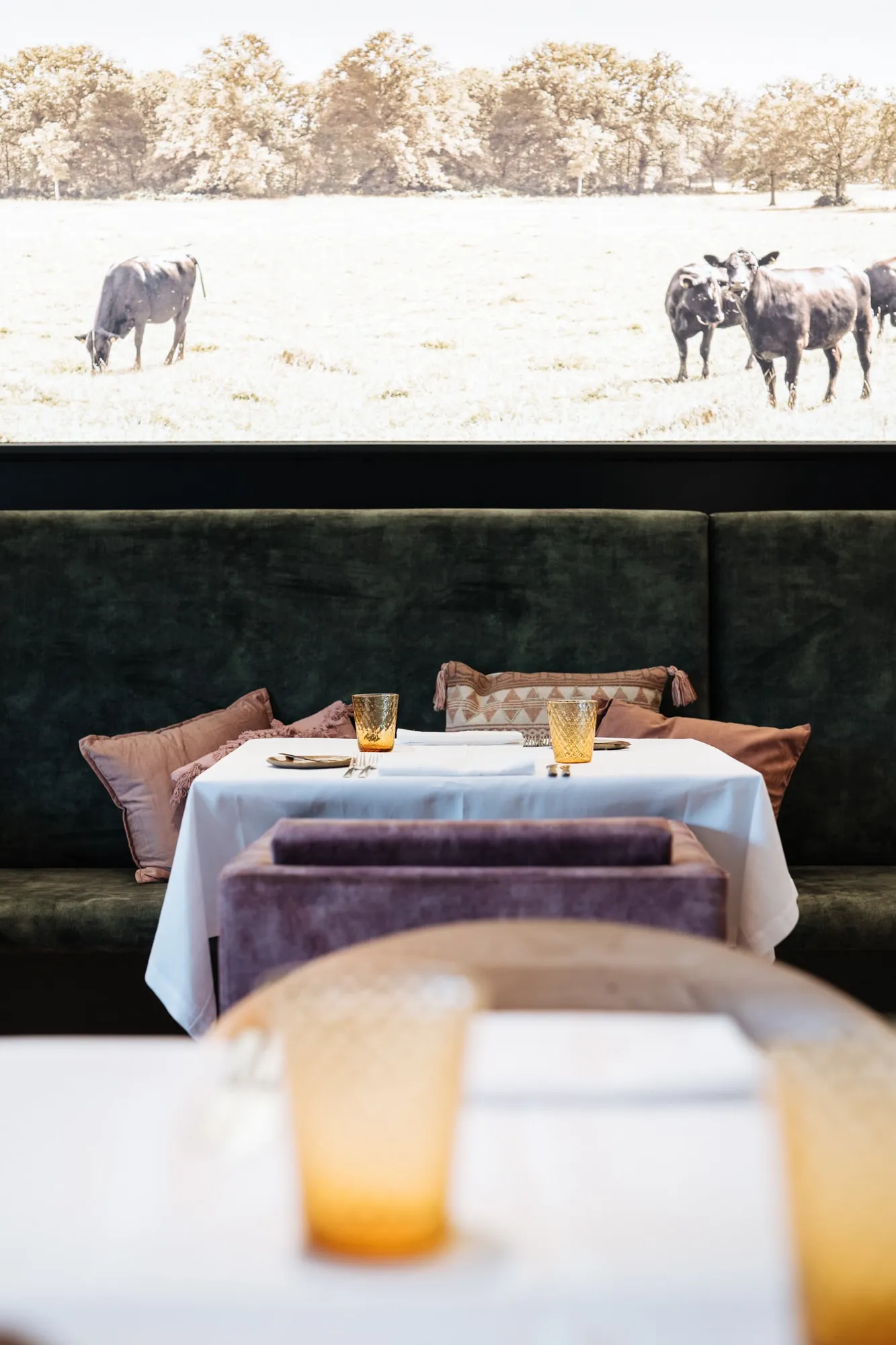 Een tafel voor twee aan de groene bank, onder de wandfoto van de runderen
