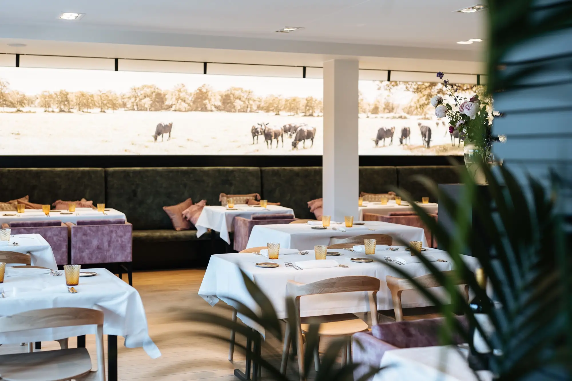 Gedekte tafels met wit linnen en amberkleurige glazen langs de groene bank, met erboven de wandfoto van de Black Angus-runderen